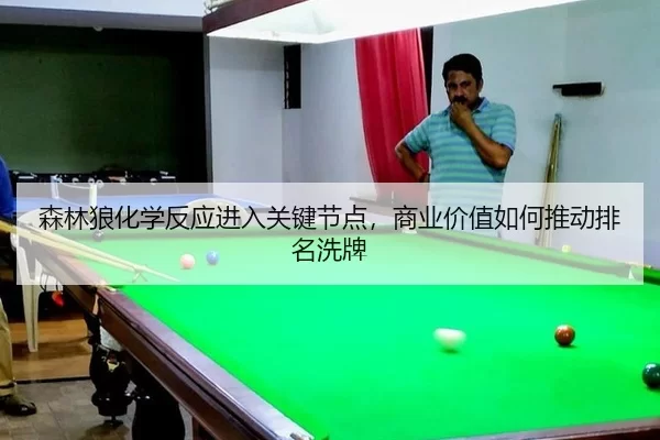 sen-lin-lang-hua-xue-fan-ying-jin-ru-guan-jian-jie-dian-shang-ye-jia-zhi-ru-he-tui-dong-pai-ming-xi-pai-2-688.jpg