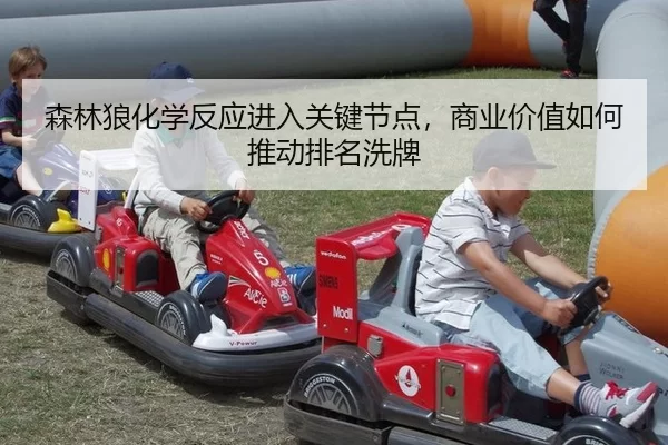 森林狼化学反应进入关键节点，商业价值如何推动排名洗牌